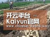 种植基地八