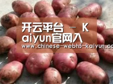 产品展示标题5(图1)