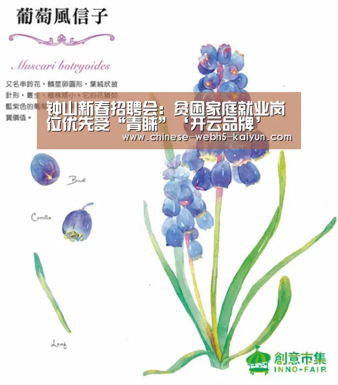 钟山新春招聘会:贫困家庭就业岗位优先受“青睐”‘开云品牌’(图2) 开云综合服务