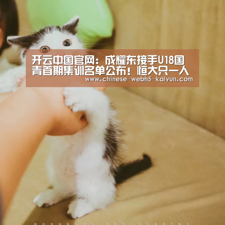 开云中国官网:成耀东接手U18国青首期集训名单公布!恒大只一人入选引发争议(图2) 开云官方平台