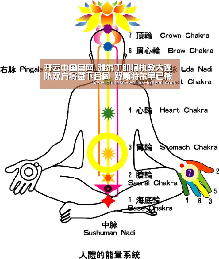 开云中国官网_雅尔丁即将执教大连队双方将签下合同 舒斯特尔早已被解约(图2) 开云品牌